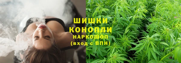 спайс Алзамай