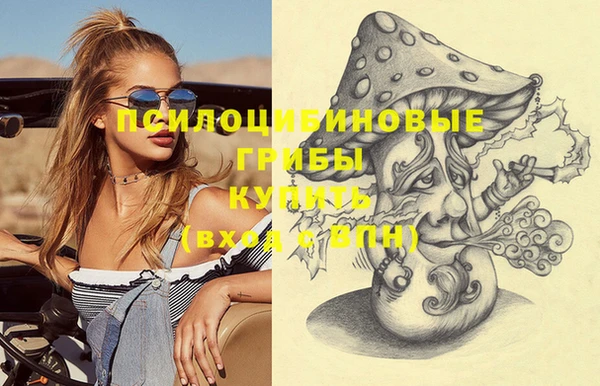 spice Няндома