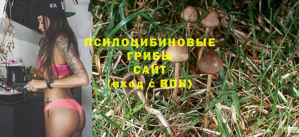 прущий лед Алексин